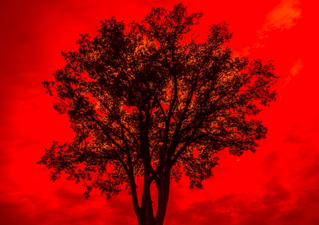 The Silhouette's in Red - 34 x 48 - 2015